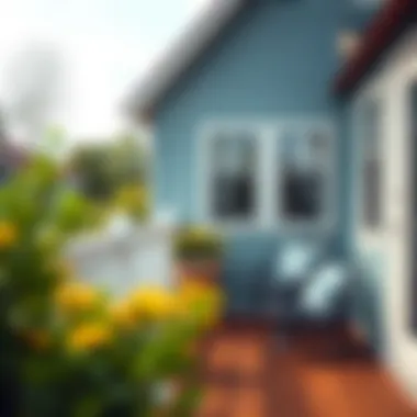 Magnificent Comprehensive Guide to Repainting Your Deck: A DIY Approach Magnificent Comprehensive Guide to Repainting Your Deck: A DIY Approach