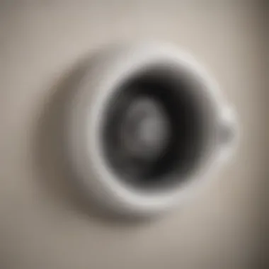 Importance of Dryer Vent Cleaning A dryer vent in need of cleaning