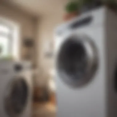Maintenance Tips for Optimal Functionality Maintenance tips for dryer vents