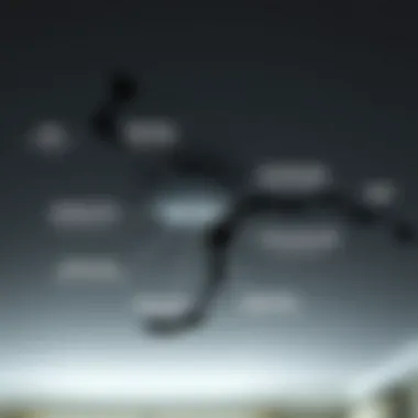 Diagram illustrating common causes of ceiling leaks