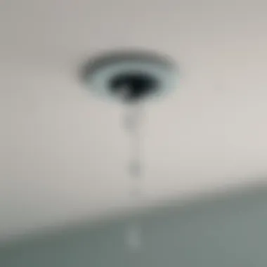 Close-up view of water dripping from a ceiling