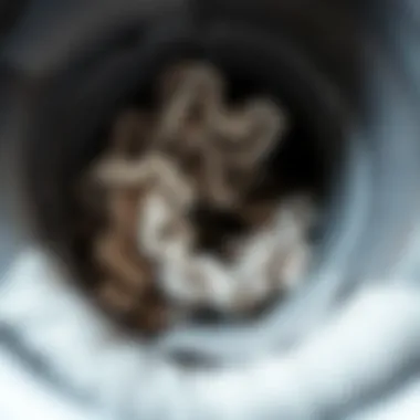 Image depicting lint accumulation in a dryer duct