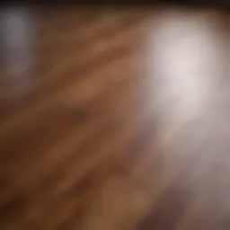 Close-up view of a hardwood floor finish reflecting light.