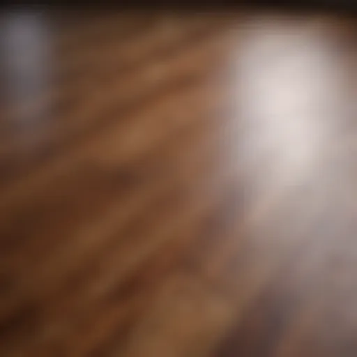 Close-up view of a hardwood floor finish reflecting light.