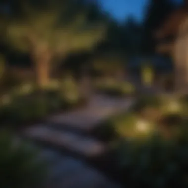 A beautifully designed backyard featuring multiple solar powered outdoor smart lights.