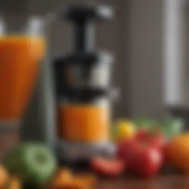 Close-up of juicing fruits and vegetables in a budget model