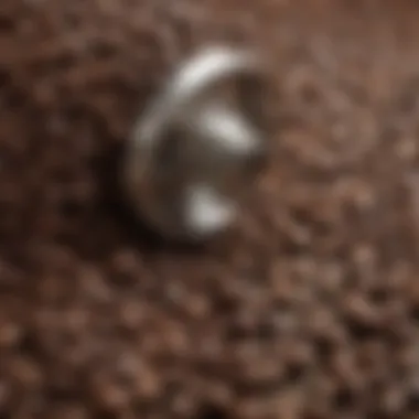 An assortment of coffee beans ready for grinding in a large grinder.