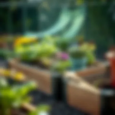 Composite material raised bed exhibiting sustainability