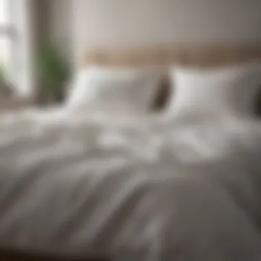 Sustainable Bedding Choices Eco-friendly bedding options displayed