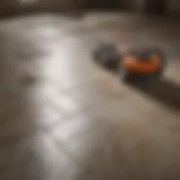 Tools arranged for tile removal