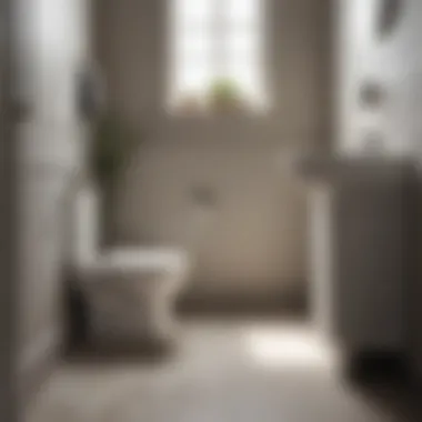 Clean toilet after using baking soda and vinegar