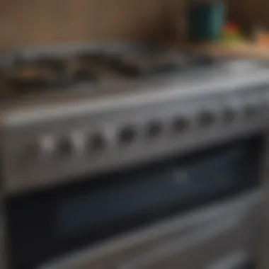 Spotless electric cooker with polished surfaces