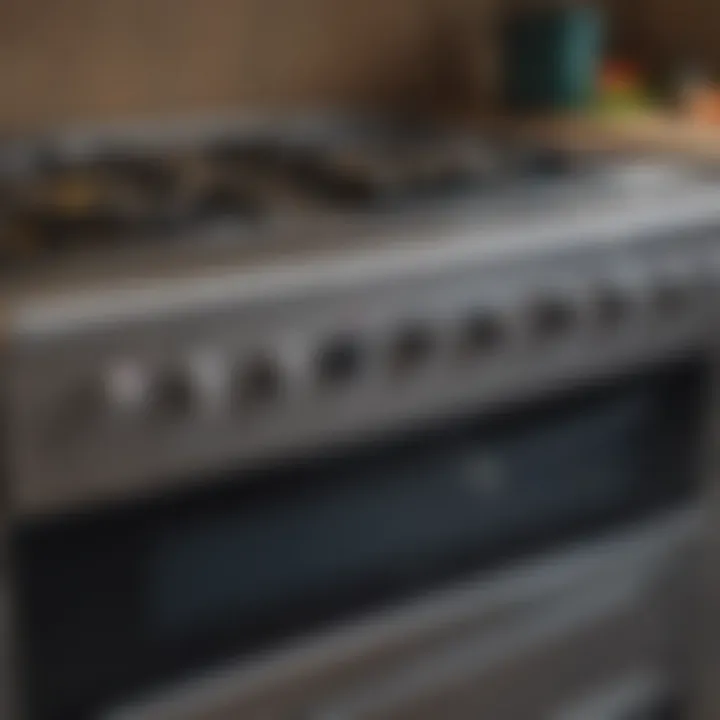 Spotless electric cooker with polished surfaces