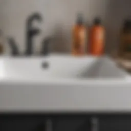 Cleaning supplies arranged for effective sink cleaning