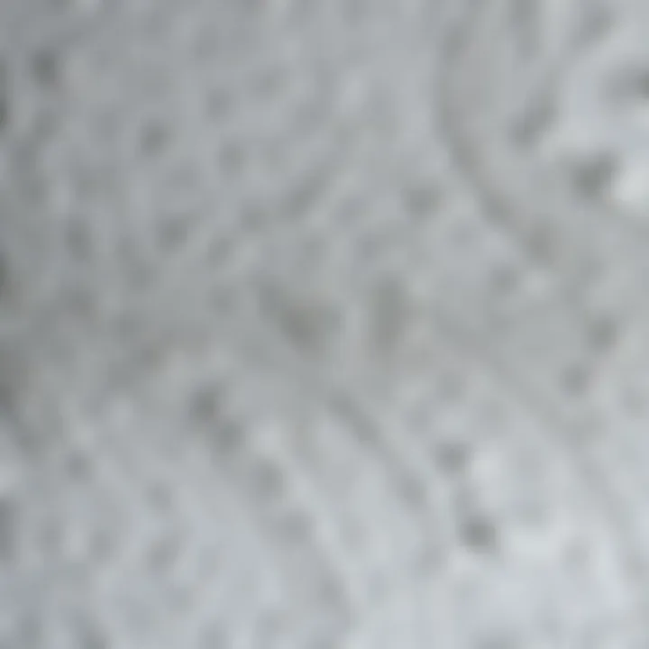 Close-up of a beautifully textured ceiling tile.