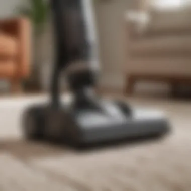 Demonstration of a pet vacuum cleaner in action on a carpet