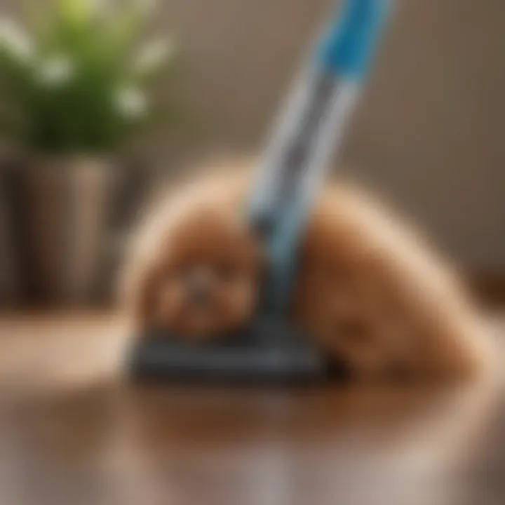 Close-up of pet hair being effectively picked up by a vacuum