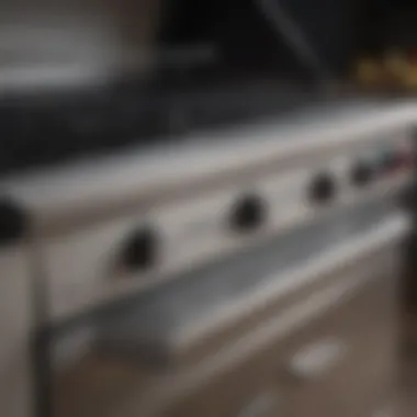 Detailed Features of Gas Grills Close-up of grill features highlighting burners and control knobs