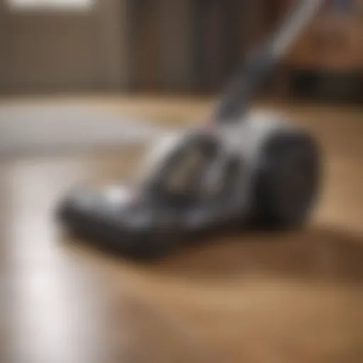 Bissell pet vacuum cleaner in action