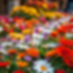 Innovative bendable garden stake in a vibrant flower bed