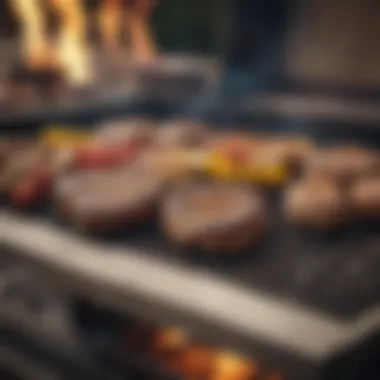 Gourmet Grilling on a Gas Barbeque Close-up of a sizzling gourmet dish on a gas barbeque