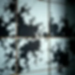 Close-up of black mold on shower tiles