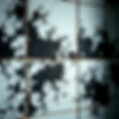 Understanding the Nature of Black Mold in Showers Close-up of black mold on shower tiles