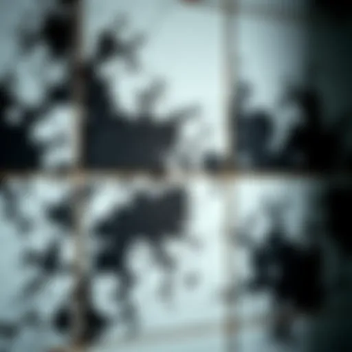 Understanding the Nature of Black Mold in Showers Close-up of black mold on shower tiles