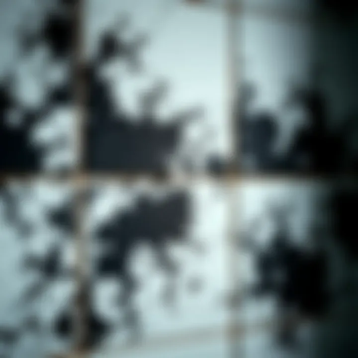 Understanding the Nature of Black Mold in Showers Close-up of black mold on shower tiles