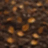 Vibrant leaf mold compost showcasing texture and richness