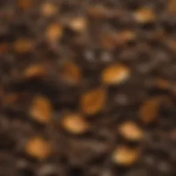 Vibrant leaf mold compost showcasing texture and richness