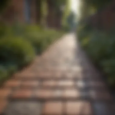 A pristine brick pathway free of weeds, showcasing its natural beauty.