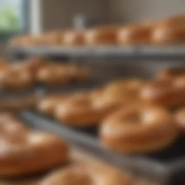 Variety of bagels showcased next to a top-rated bagel toaster