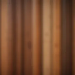 A close-up view of different wood types for doors showcasing texture and grain