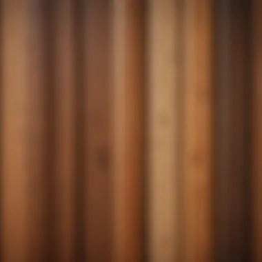 A close-up view of different wood types for doors showcasing texture and grain