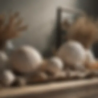 Charming Coastal Decorative Elements Decorative elements showcasing seashells and driftwood