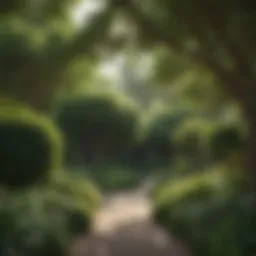 Lush green trees forming a natural barrier in a residential garden