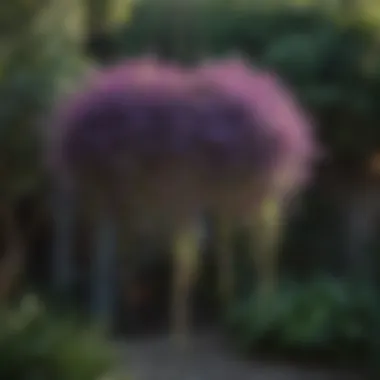 Creative arrangement of purple hanging plants in a garden