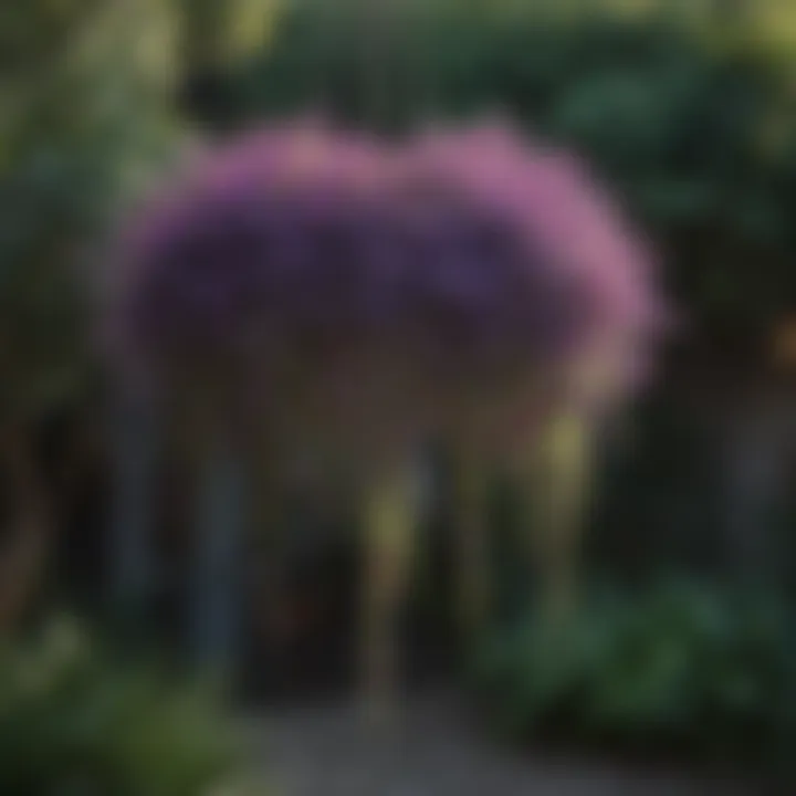 Creative arrangement of purple hanging plants in a garden