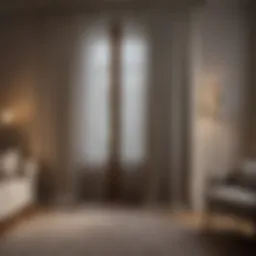 Elegant curtains enhancing a living room door's aesthetic.