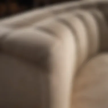 Detailed view of curved back sofa upholstery and design