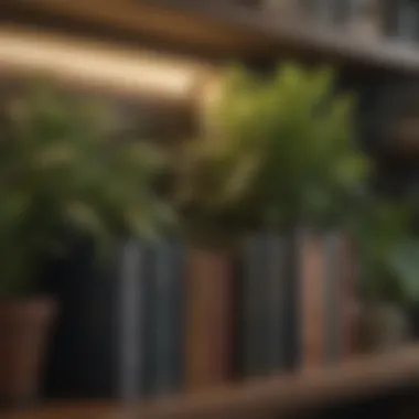 A creative display of books and plants enhancing a shelf's aesthetic