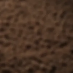 Luxurious close-up of deep pile carpet texture