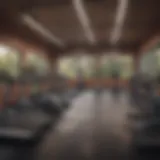 A well-organized gym layout showcasing various workout zones.