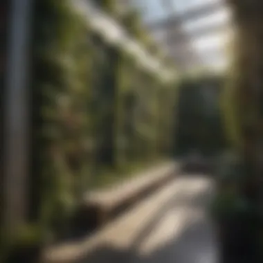 Vertical Gardening Techniques in Urban Environments Vertical gardening techniques for terrace spaces