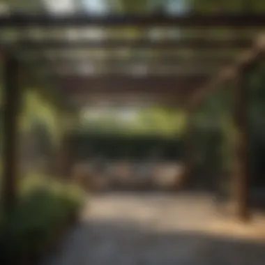 Maintenance tips for a long-lasting pergola