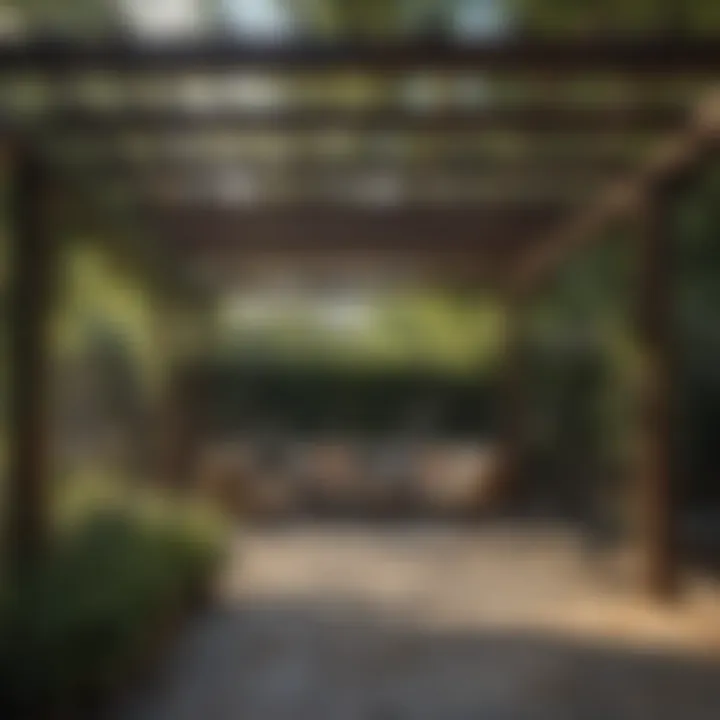 Maintenance tips for a long-lasting pergola