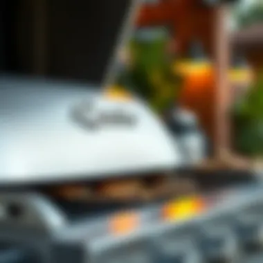 Close-up of high-quality materials used in grill construction