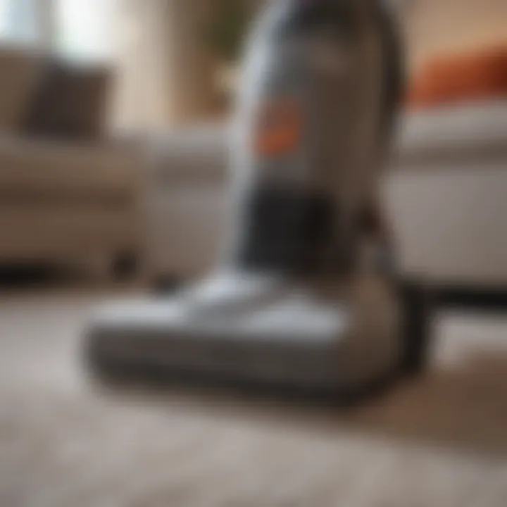 Carpet cleaner in action on a mattress