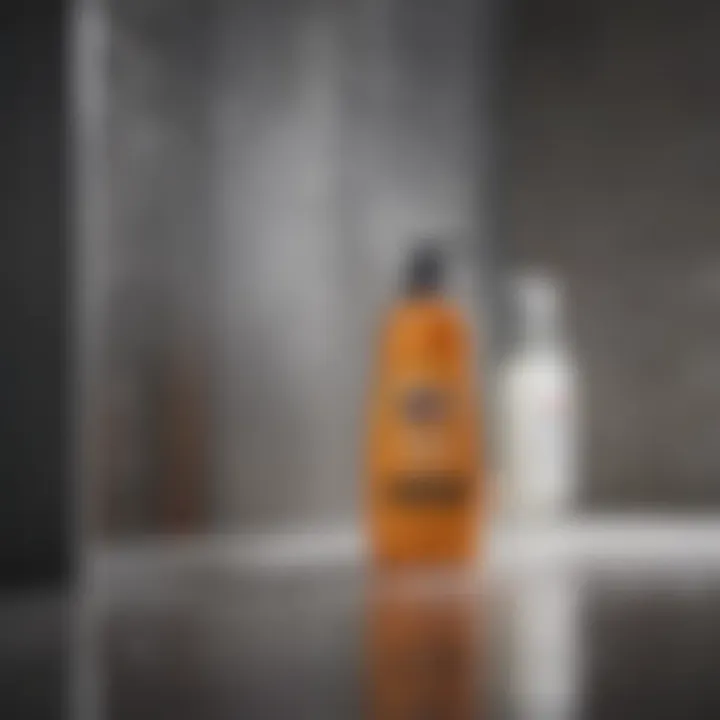 Various cleaning products arranged for shower door maintenance